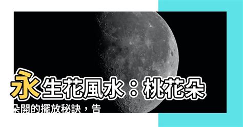 永生花風水化解|永生花如何提升居家風水？5個居家擺放技巧分享！